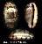 Cypraea Teres